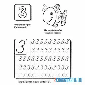 Раскраска пошаговая цифра 3 пропись