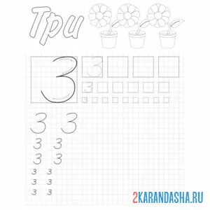 Раскраска цифра 3 пропись 1 класс