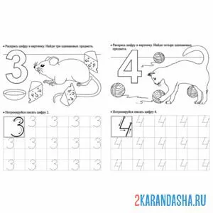 Раскраска пропись цифры 3 и 4 с заданием