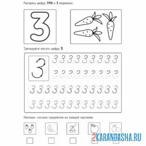Раскраска пропись цифра 3 с картинками
