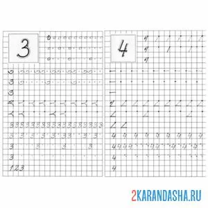 Раскраска цифры 3 и 4 пропись