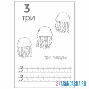 Раскраска пропись цифра 3 по линии