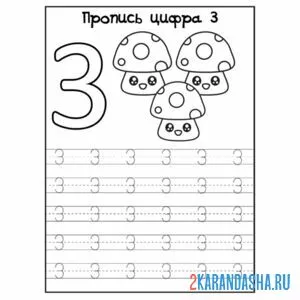 Раскраска пропись цифра 3 картинки