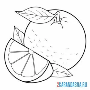 Раскраска сочный апельсин