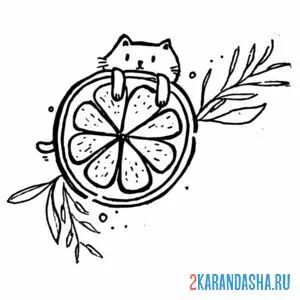 Раскраска смешной кот за апельсином