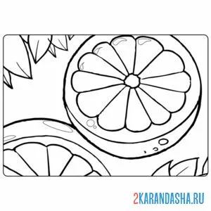 Раскраска апельсины