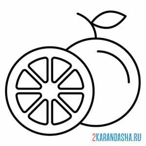 Раскраска апельсин фрукт