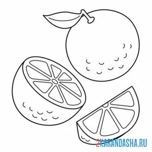 Раскраска апельсин на столе