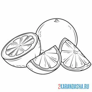 Раскраска апельсин и дольки