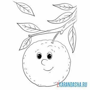 Раскраска апельсин с глазками на ветке