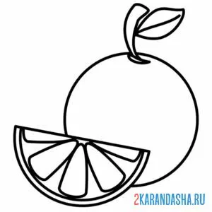 Раскраска апельсин с долькой рядом