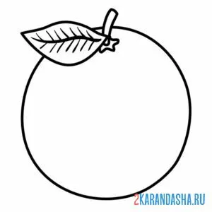 Раскраска апельсин с листочком