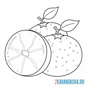 Раскраска три апельсина и половинка