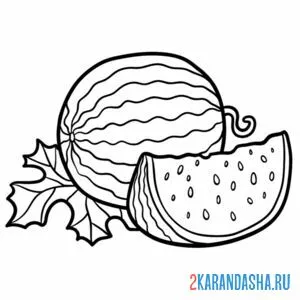 Раскраска арбуз в огороде