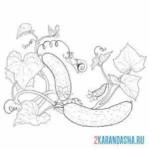 Раскраска много огурцов