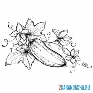 Раскраска огурец с листьями