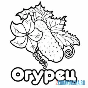 Раскраска огурец