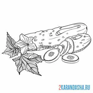 Раскраска огурец кольцами