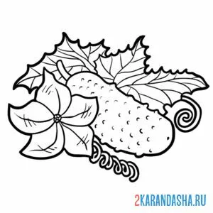 Раскраска свежий огурец