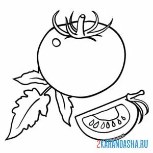 Раскраска помидор и кусочек