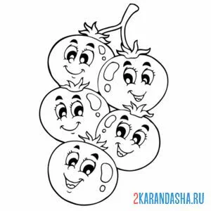 Раскраска томат черри на ветке