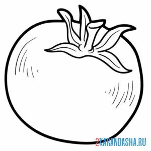 Раскраска целый настоящий помидор