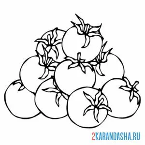 Раскраска томаты черри много