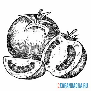 Раскраска помидор рисунок