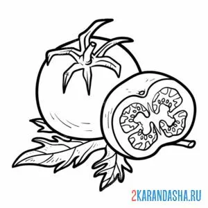 Раскраска помидор спелый
