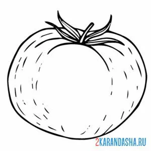 Раскраска спелый томат