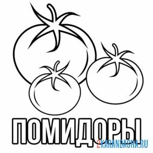 Раскраска помидоры три штуки