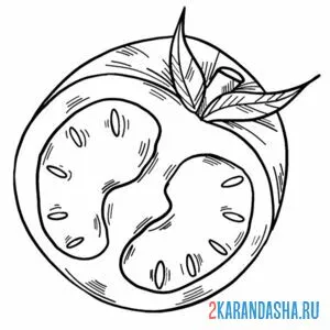 Раскраска помидор в разрезе