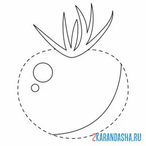 Раскраска обведи томат по линии