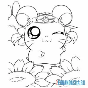 Раскраска аниме питомец хомяк
