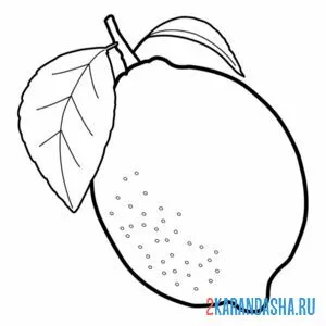 Раскраска лимон с листочками