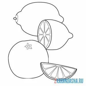 Раскраска лимон и мандарин