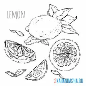 Раскраска лимон картинка