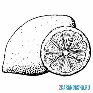 Раскраска настоящий лимон