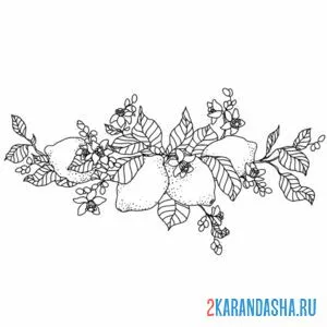 Раскраска лимон на ветке