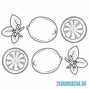 Раскраска лимоны