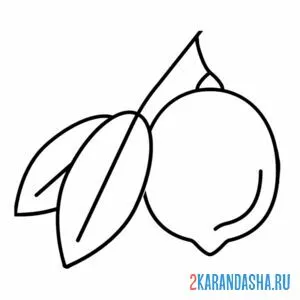 Раскраска лимон с листьями