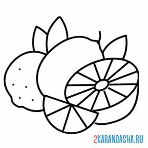 Раскраска фрукт лимон