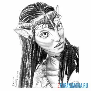 Раскраска нейтири рисунок