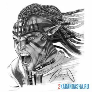 Раскраска аватар 2 воин