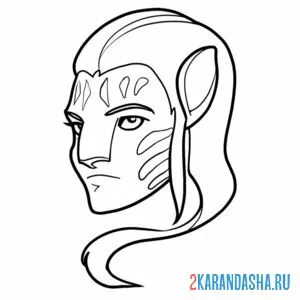 Раскраска голова аватара