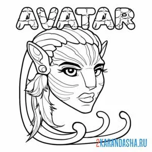 Раскраска avatar