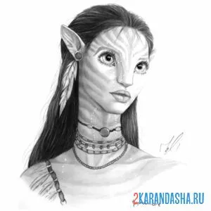 Раскраска нейтири рисунок аватар