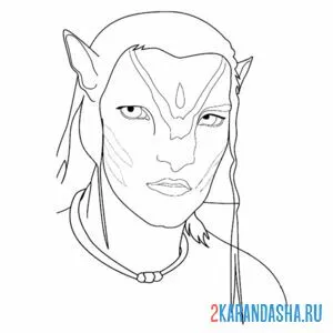 Раскраска джейк салли голова