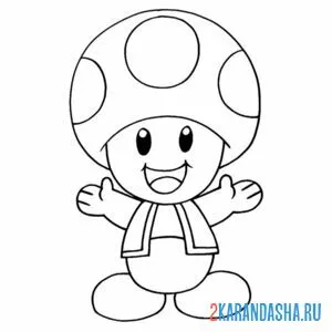 Раскраска гриб тоад