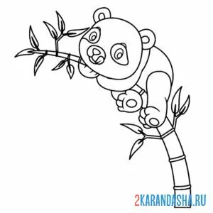 Раскраска панда на ветке